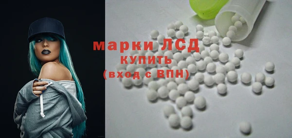 apvp Вяземский