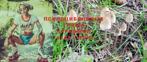 стаф Алексеевка