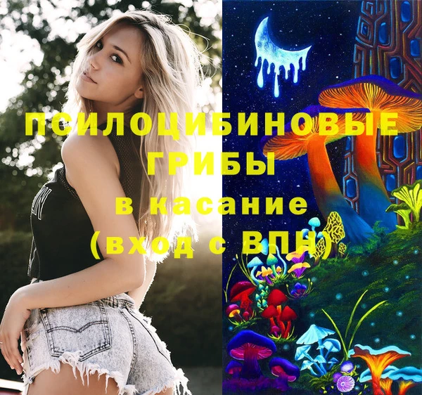 дживик Алзамай